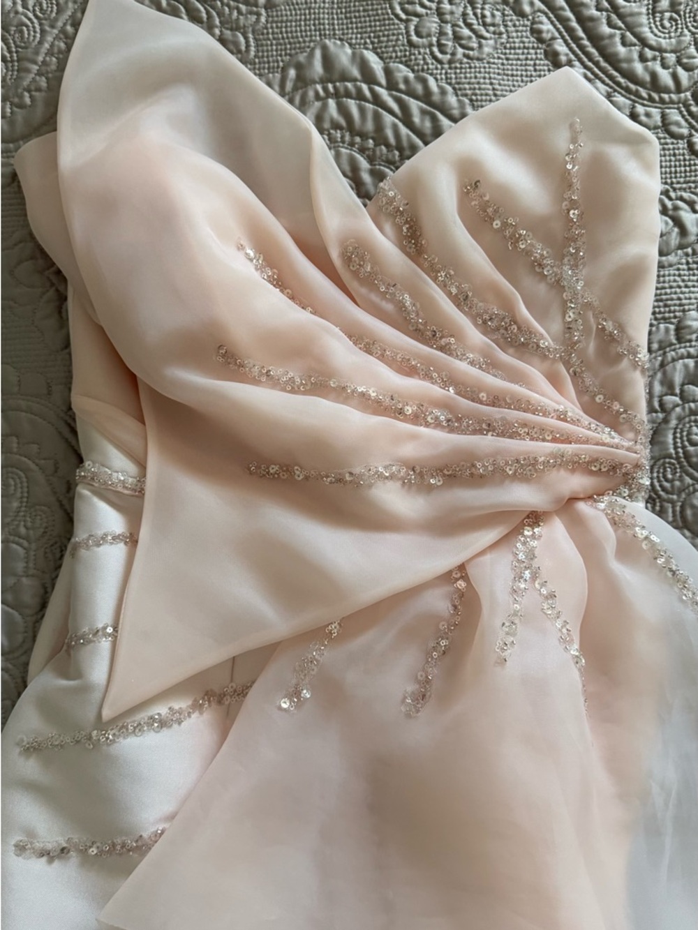 Terani Couture Blush Pink Dress with Gold Logo Label